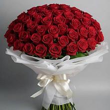 Букет 101 Красная роза Блэк Мэджик в Незамаевской