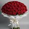 Букет 101 Красная роза Блэк Мэджик в Незамаевской