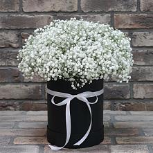 Цветочная композиция из Гипсофила в шляпной коробке в Незамаевской