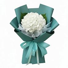 Букет цветов из:  Гортензия в Незамаевской